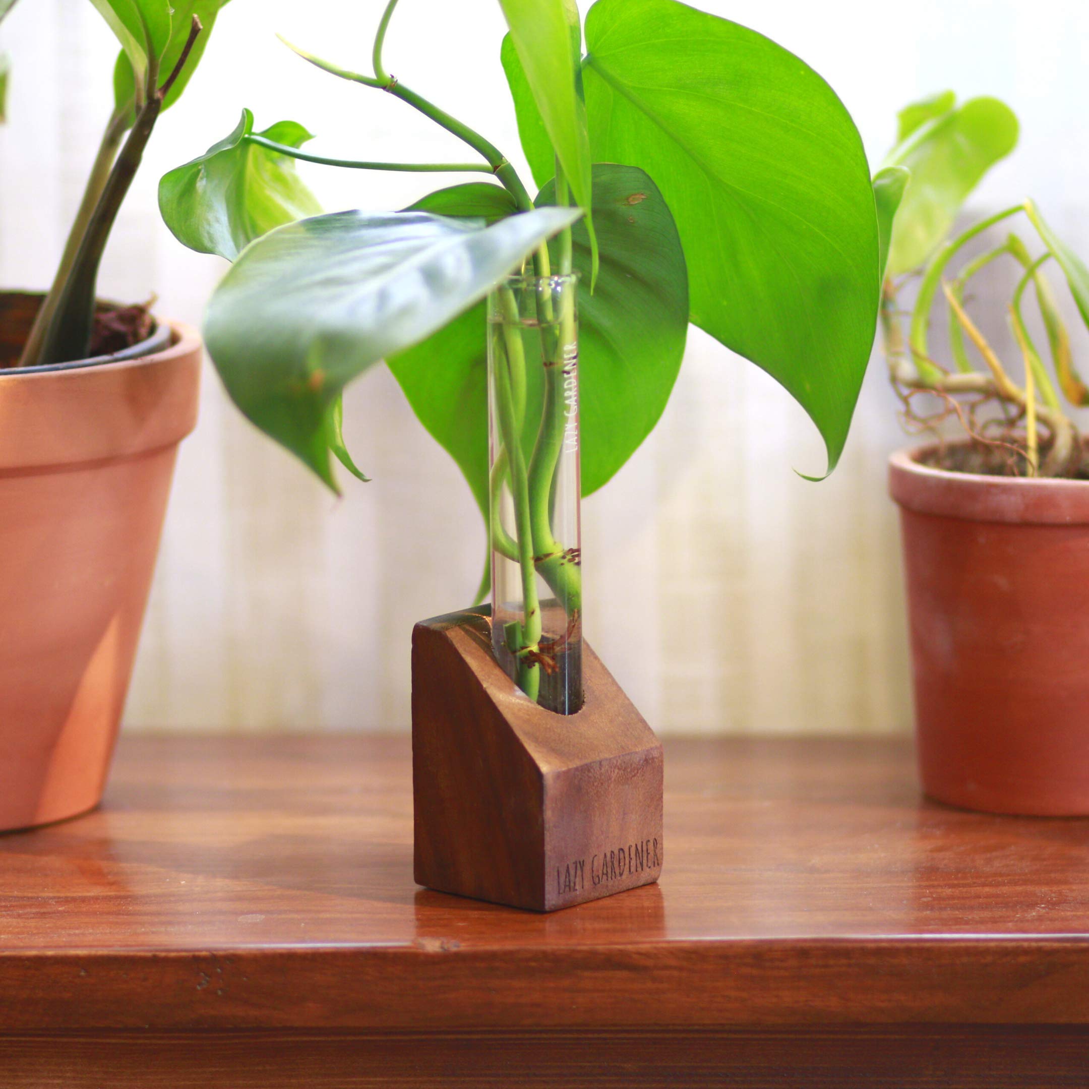 Lazy Gardener Test Tube Desk planters | Plant Holder Base with